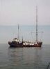 Offshore Pirate Radio Caroline International 1968 Broadcasts - Vol 1 (MP3 CD) - Nostalgia Store