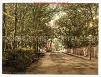 Bognor Regis - Victorian Colour Images / prints - The Nostalgia Store